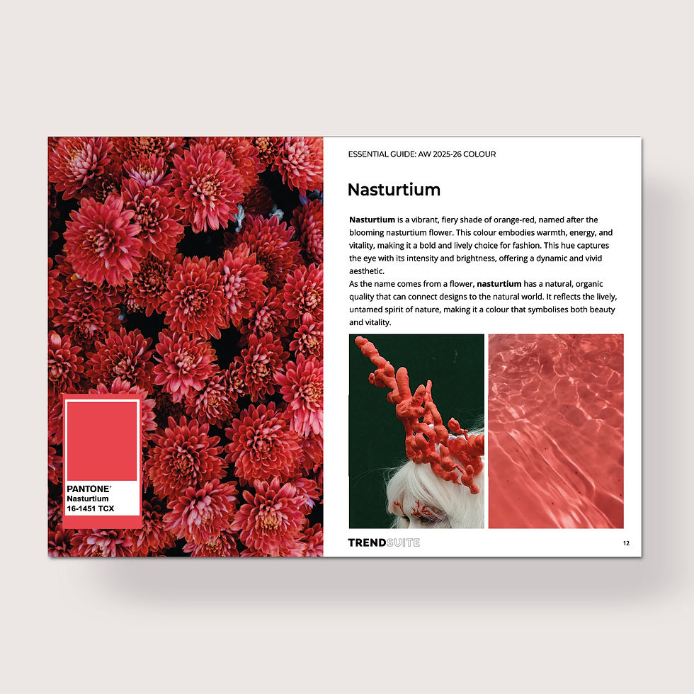 Fashion katalog 2026